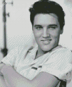 Black And White Elvis Diamond Painting