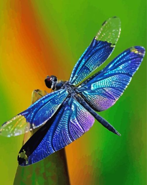 Blue Dragonfly Diamond Painting