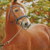 Brown Welsh Pony Diamond Painting