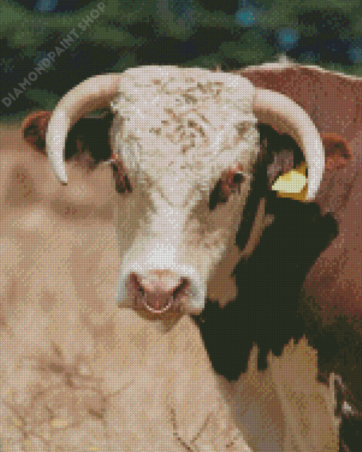 Bull with Horns Diamond Painting