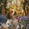 Cavachon And Flowers Diamond Painting