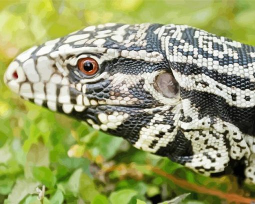 Close Up Tegu Lizard Diamond Painting