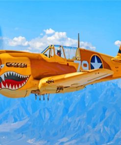 Curtiss P 40 Warhawk Diamond Paintings