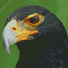 African Black Eagle Diamond Painting