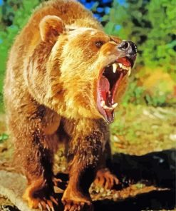 Angry Bear Wild Animal Diamond Painting