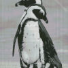 Beautiful Black And White Penguins Diamond Painting