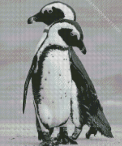 Beautiful Black And White Penguins Diamond Painting