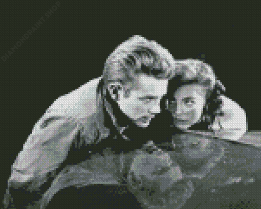 Black And white Rebel Without A Cause Diamond Painting