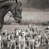 Black And White Horse And Hound Hunting Diamond Painting