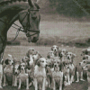 Black And White Horse And Hound Hunting Diamond Painting