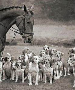 Black And White Horse And Hound Hunting Diamond Painting