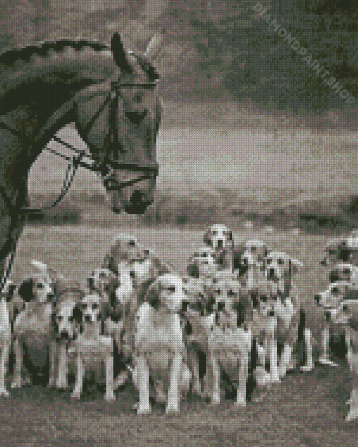 Black And White Horse And Hound Hunting Diamond Painting