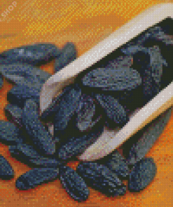 Black Tonka Beans Spice Diamond Painting