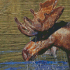 Brown Moose Head In Water Diamond Painting