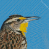 Close Up Western Meadowlark Diamond Painting