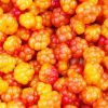 Cloudberries Food Diamond Painting