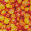 Cloudberries Food Diamond Painting