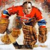 Cool Hockey Canada Diamond Painting