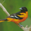 Cool Orioles Bird Diamond Painting