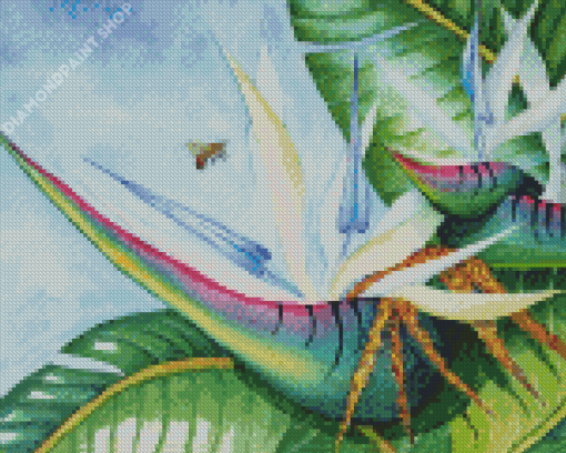 Cool White Bird Of Paradise Plant Diamond Painting