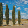 Four Cypress Trees Diamond Painting