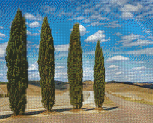 Four Cypress Trees Diamond Painting