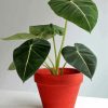 Alocasia Plant Pot Diamond Painting