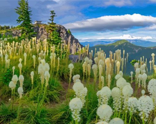 Beargrass Plants Meadow Diamond Painting