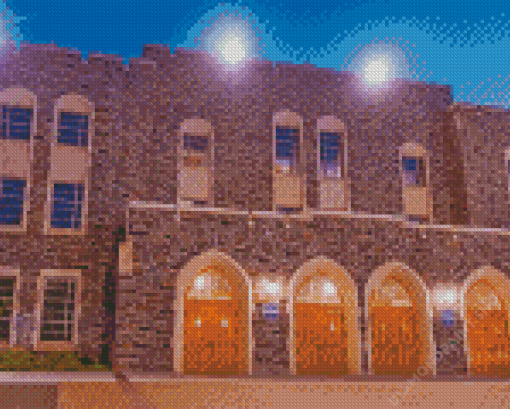 Cameron Indoor Stadium Building Diamond Painting