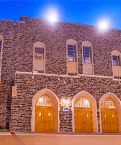 Cameron Indoor Stadium Building Diamond Painting