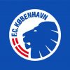 Fc Copenhagen Logo Diamond Painting