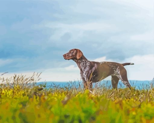 German Shorthair Dog Pet Diamond Painting