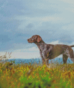 German Shorthair Dog Pet Diamond Painting