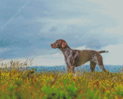 German Shorthair Dog Pet Diamond Painting