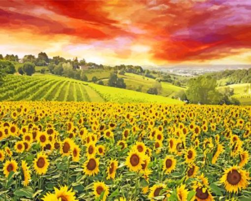 Italy Sunflowers Field Diamond Painting