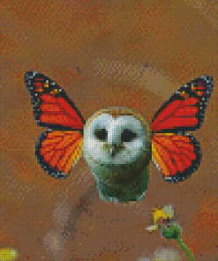 Mixed Animal Owl Diamond Painting