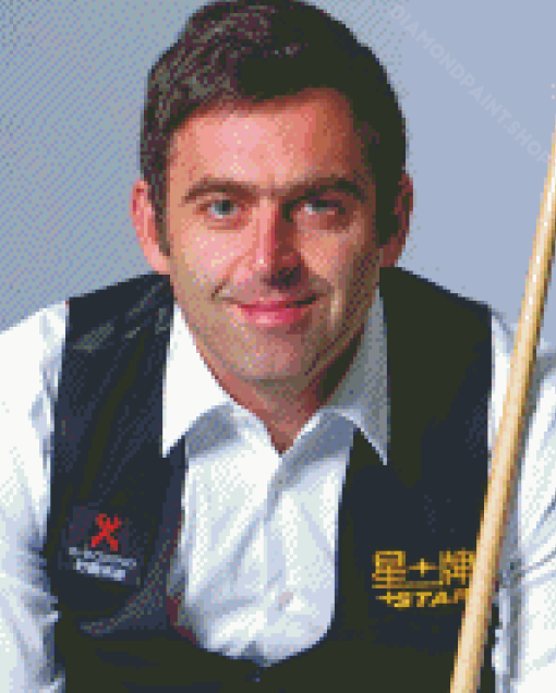 Ronnie Osullivan Diamond Painting