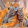 Tiger And Cubs Diamond Painting