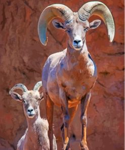 Wild Bighorn Sheep Animals Diamond Painting