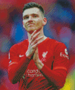 Aesthetic Andrew Robertson Diamond Painting