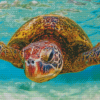 Cool Hawaii Turtle Diamond Painting