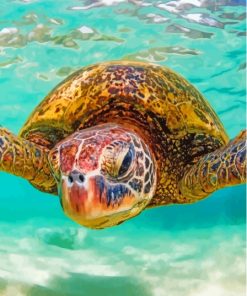 Cool Hawaii Turtle Diamond Painting