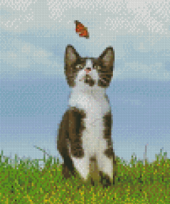 Cool Kitten With Buterflight Diamond Painting