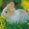 Cute Baby Bunny Diamond Painting