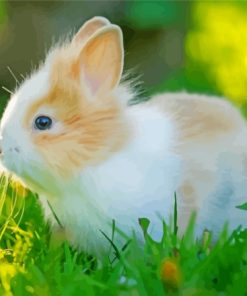 Cute Baby Bunny Diamond Painting