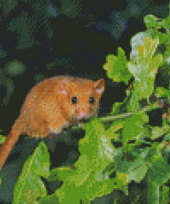 Dormouse On Tree Diamond Painting