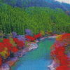 River Between Dense Forest Diamond Painting