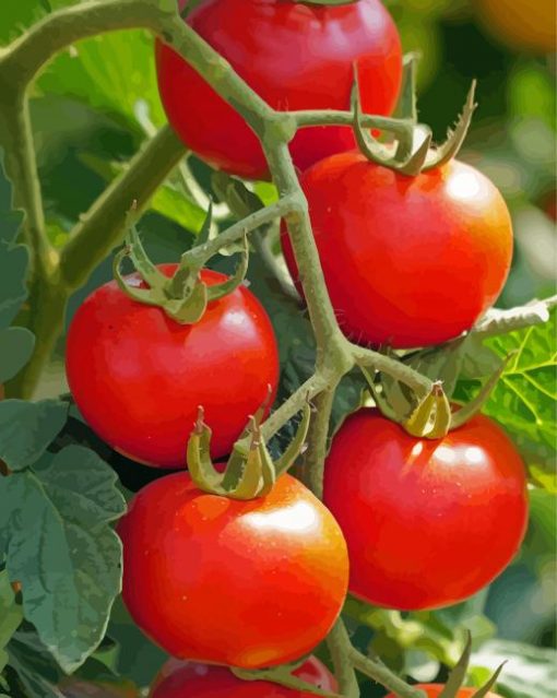 Tomato Plant Diamond Painting