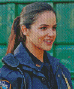 Amy Santiago Brooklyn 99 Serie Diamond Painting