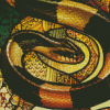 Banded Krait Snake Art Diamond Painting